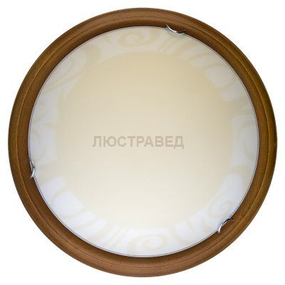 Настенно-потолочный светильник GINGER TL9620Y-00OA Toplight