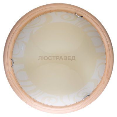Настенно-потолочный светильник GINGER TL9620Y-00PN Toplight