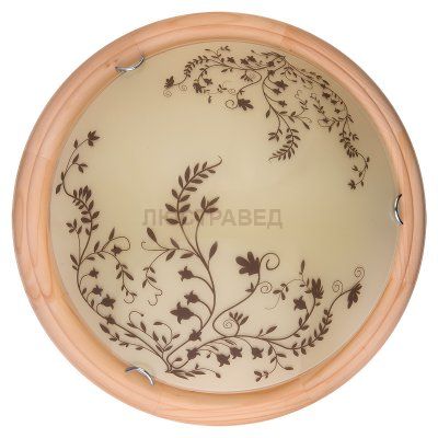 Настенно-потолочный светильник IRENE TL9630Y-00PN Toplight