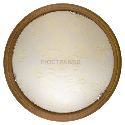 Настенно-потолочный светильник JANE TL9640Y-00OA Toplight