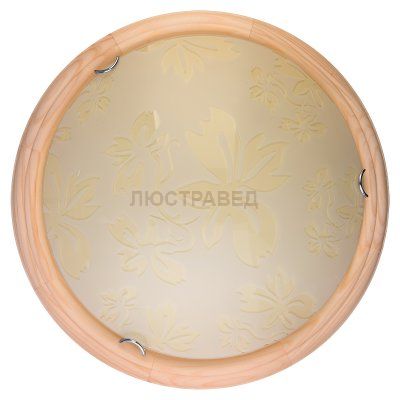 Настенно-потолочный светильник JANE TL9640Y-00PN Toplight
