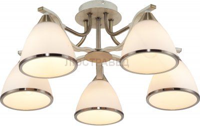 Люстра потолочная SHEENA TL3670X-05AB Toplight