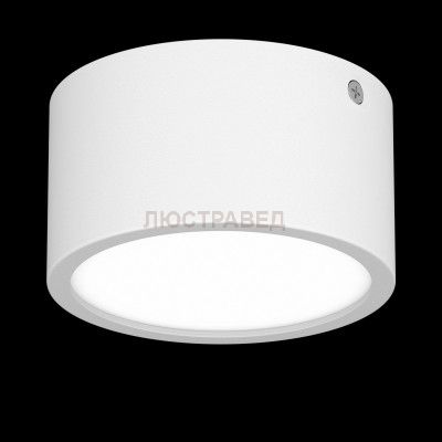 Светильник накладной светодиодный Lightstar 211916 Zolla