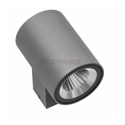Светильник светодиодный уличный настенный Lightstar 351692 Paro