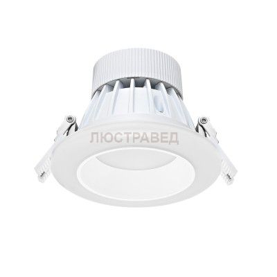 Светильник светодиодный Donolux DL18731/10W-White R Dim