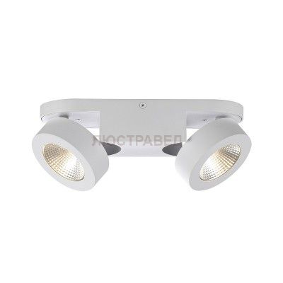 Спот Odeon light 3538/2LC LACONIS