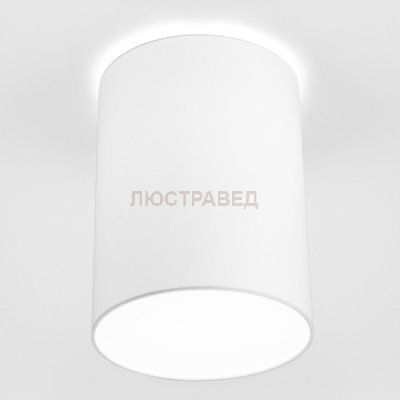 Потолочный светильник Nowodvorski 9685 CAMERON