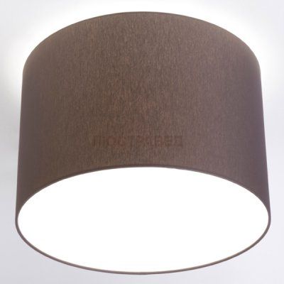 Потолочный светильник Nowodvorski 9688 CAMERON