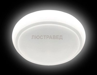 Светильник круглый диодный Ambrella F30 WH 48W D400