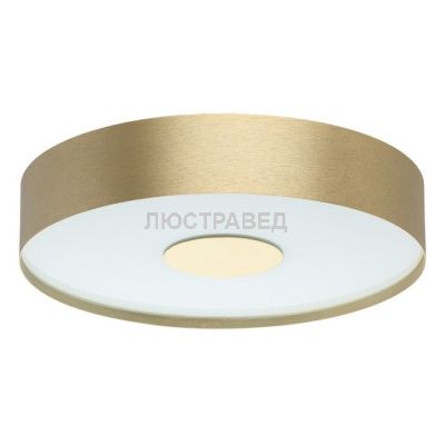 Светильник Mw light 688010601 Техно
