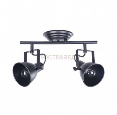 Настенно-потолочный светильник Freya FR4276-CW-02-B Ibbi