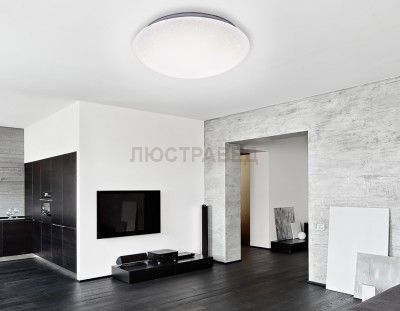 Светильник Ambrella F42 80W D500