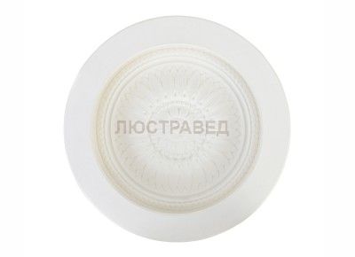 светодиодный встраиваемый светильник Donolux DL240G