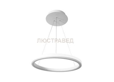 Светодиодный светильник Donolux S111028/1 D450