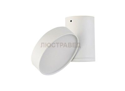 Светильник светодиодный накладной Donolux DL18811/15W White R Dim