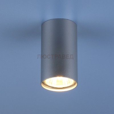 Светильник Электростандарт 1081 GU10 SL серебро (5257)