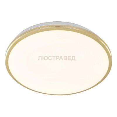 Светильник настненно-потолочный Citilux CL702302W Луна