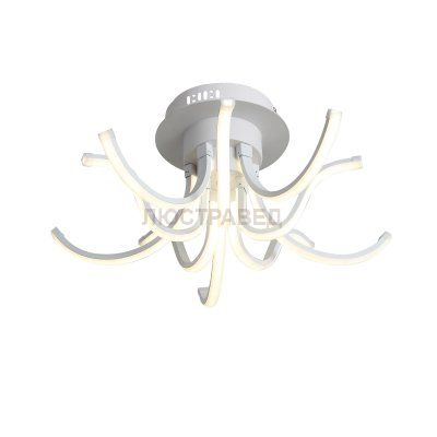 Светильник St luce SL826.502.10