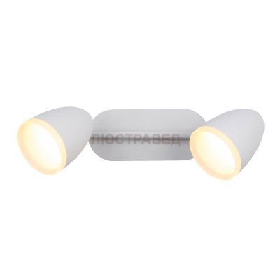 Светильник St luce SL387.501.02