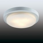 Настенно-потолочный светильник odeon light 2745/3C HOLGER